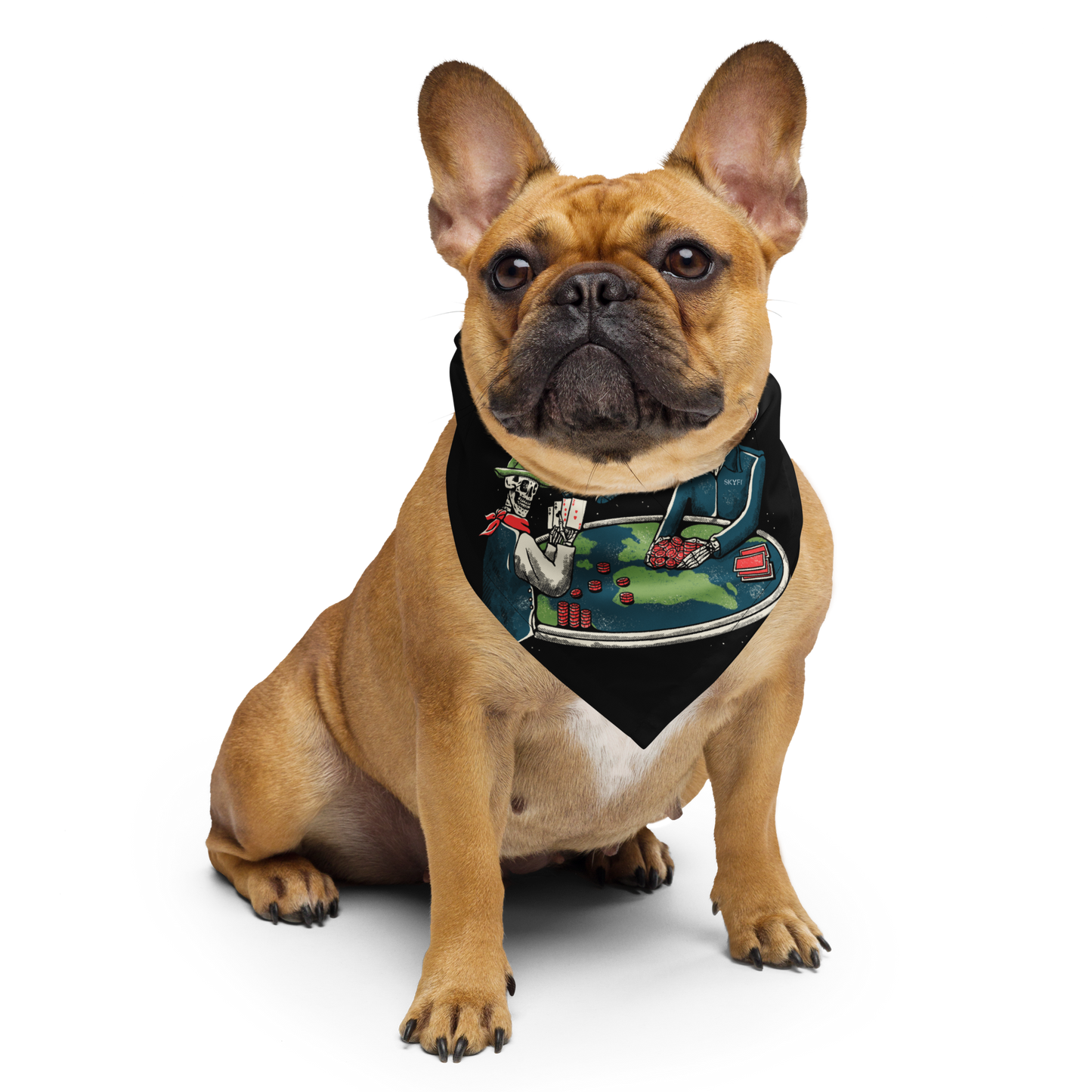 SkyFi "All In On Earth" Bandana